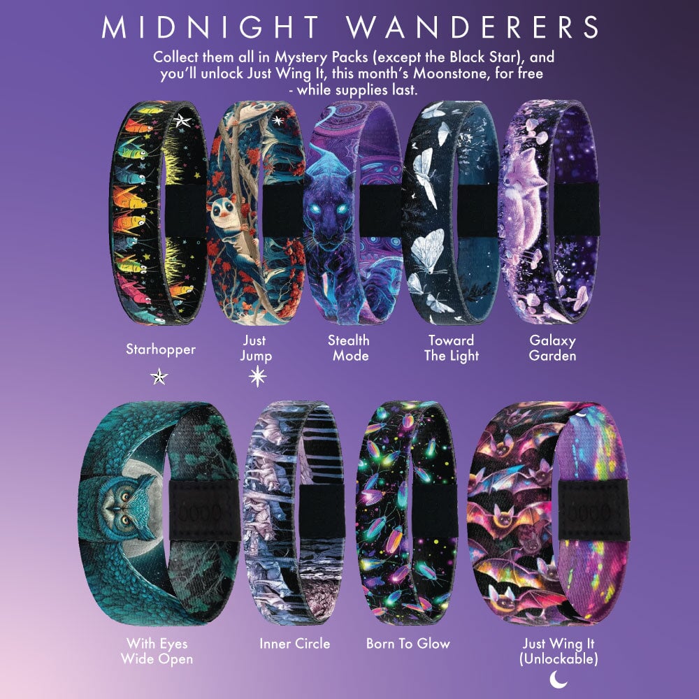 Midnight Wanderers Mystery Bracelet