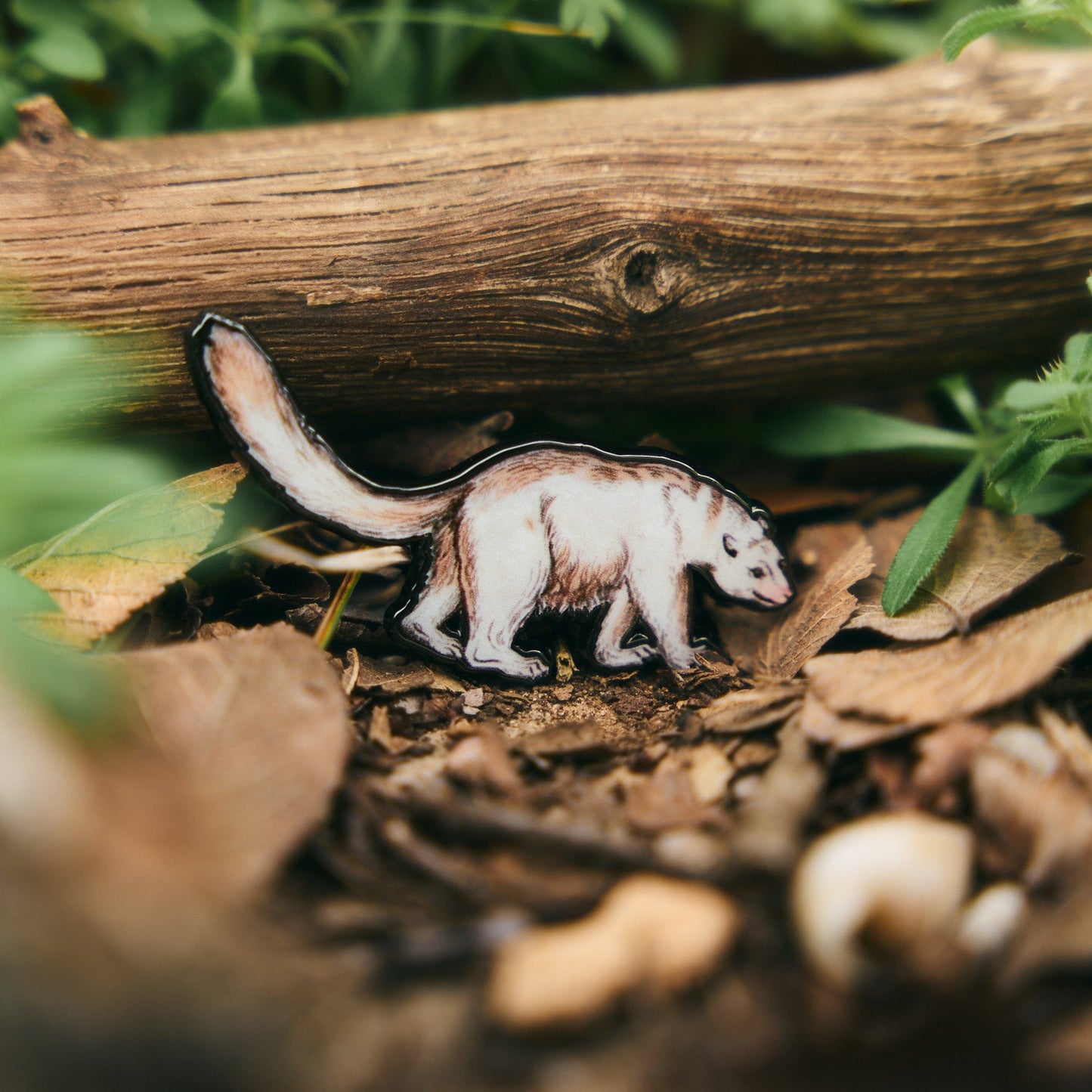 Draco and Ursa Minor