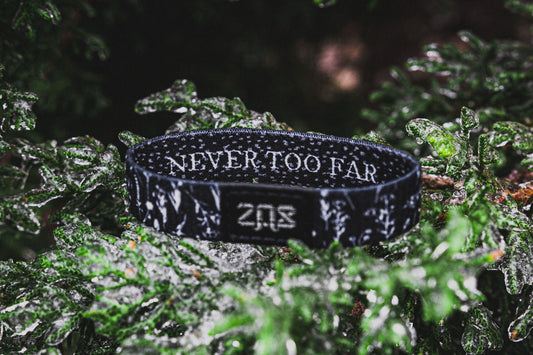 Never Too Far
