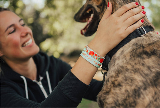 Today I Will Not Worry - XII