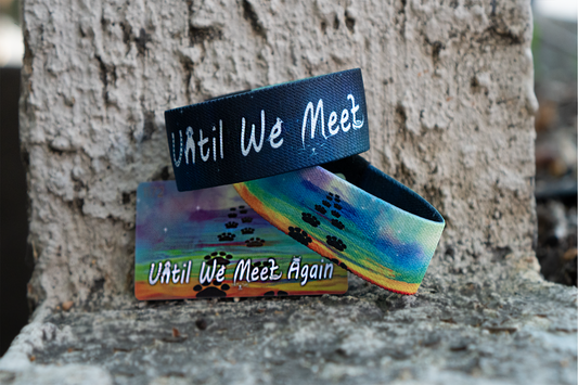 Until We Meet Again - Rusty