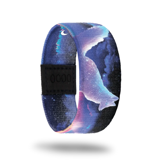 Chase the Magic Moonstone