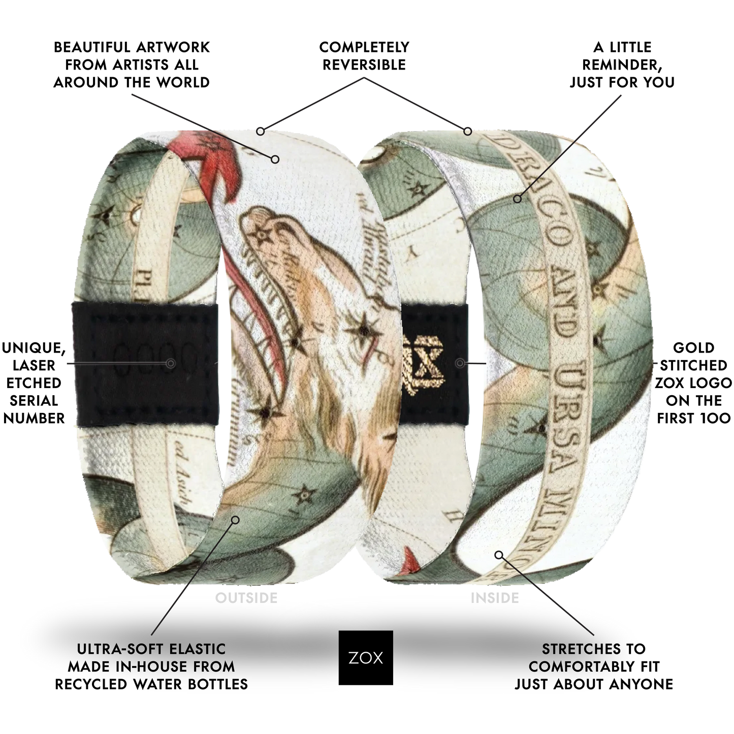 Draco and Ursa Minor