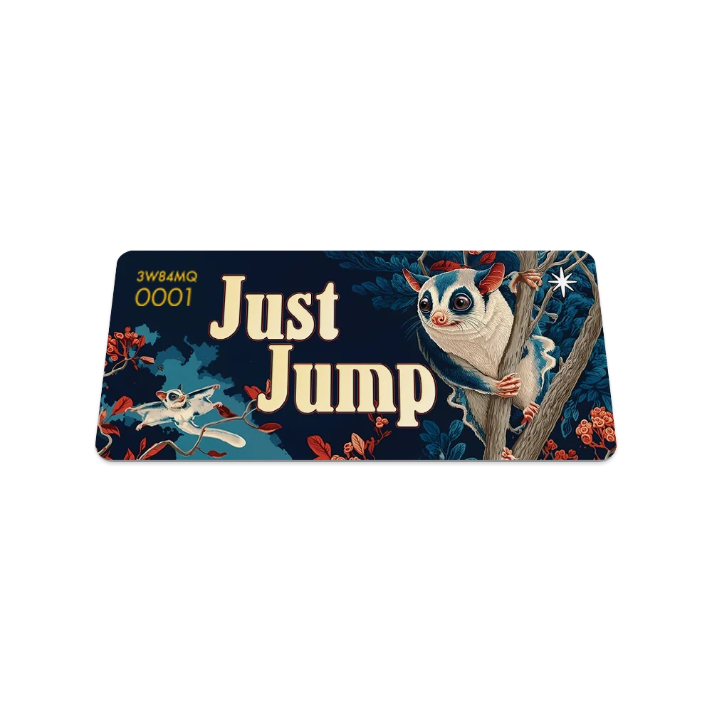 Just Jump Whitestar Mystery Pack Exclusive - October 2025 Bracelet