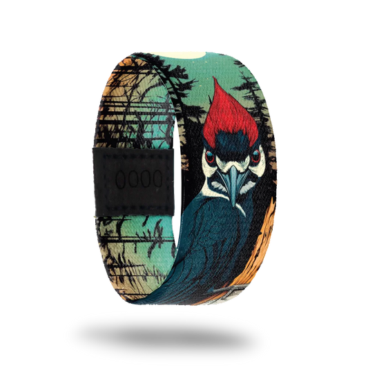 Knock Knock Mystery Pack Exclusive - July 2025