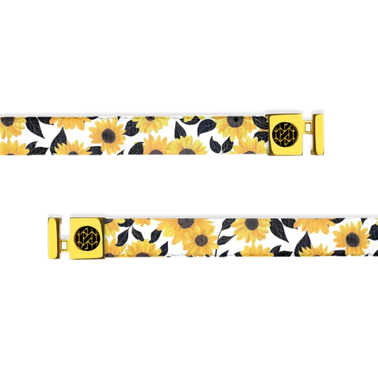 Look On The Bright Side String