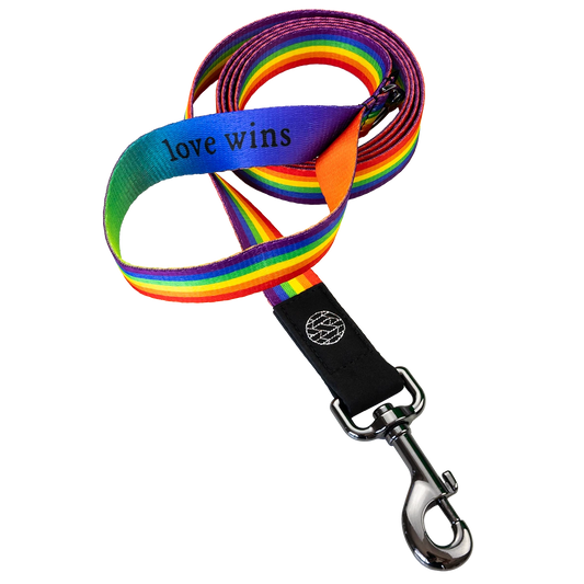 Dog Leash is a brightly colored rainbow. Leash has a metal pull-down clip and a hoop handle. The handle says Love Wins.