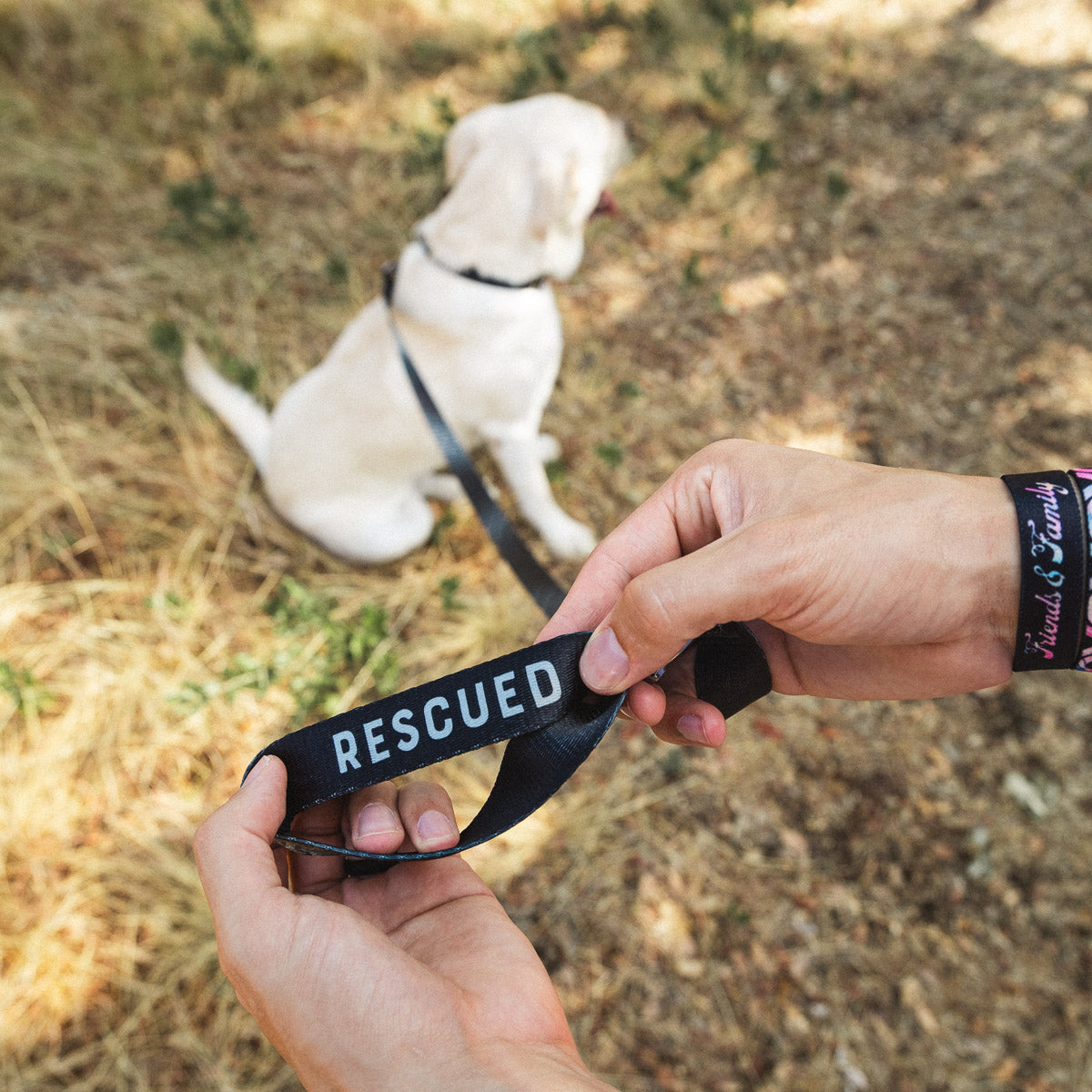 Rescued Leash