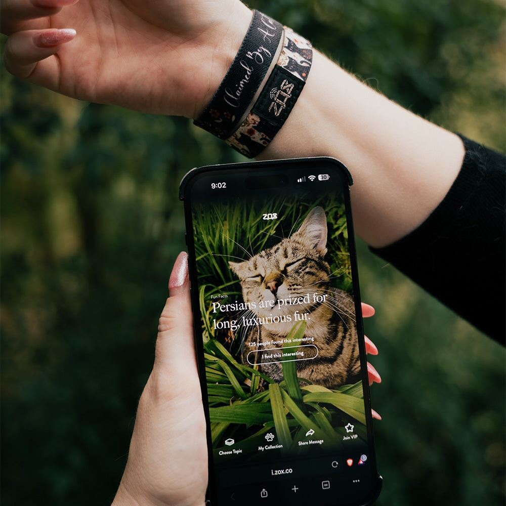 Claimed By A Cat Bracelet