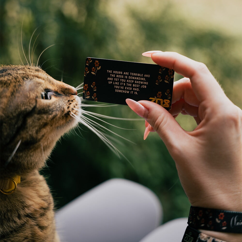 Claimed By A Cat Bracelet