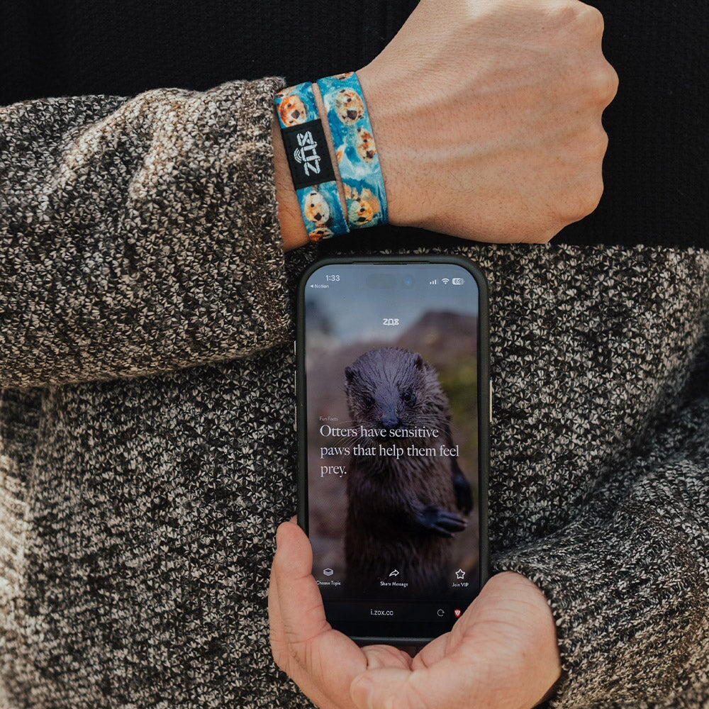Water You Waiting For? Bracelet