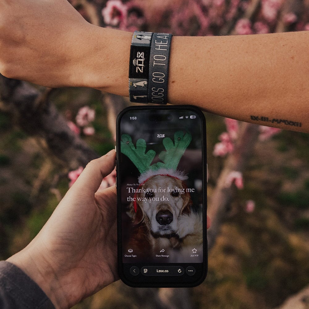 All Dogs Go To Heaven Bracelet