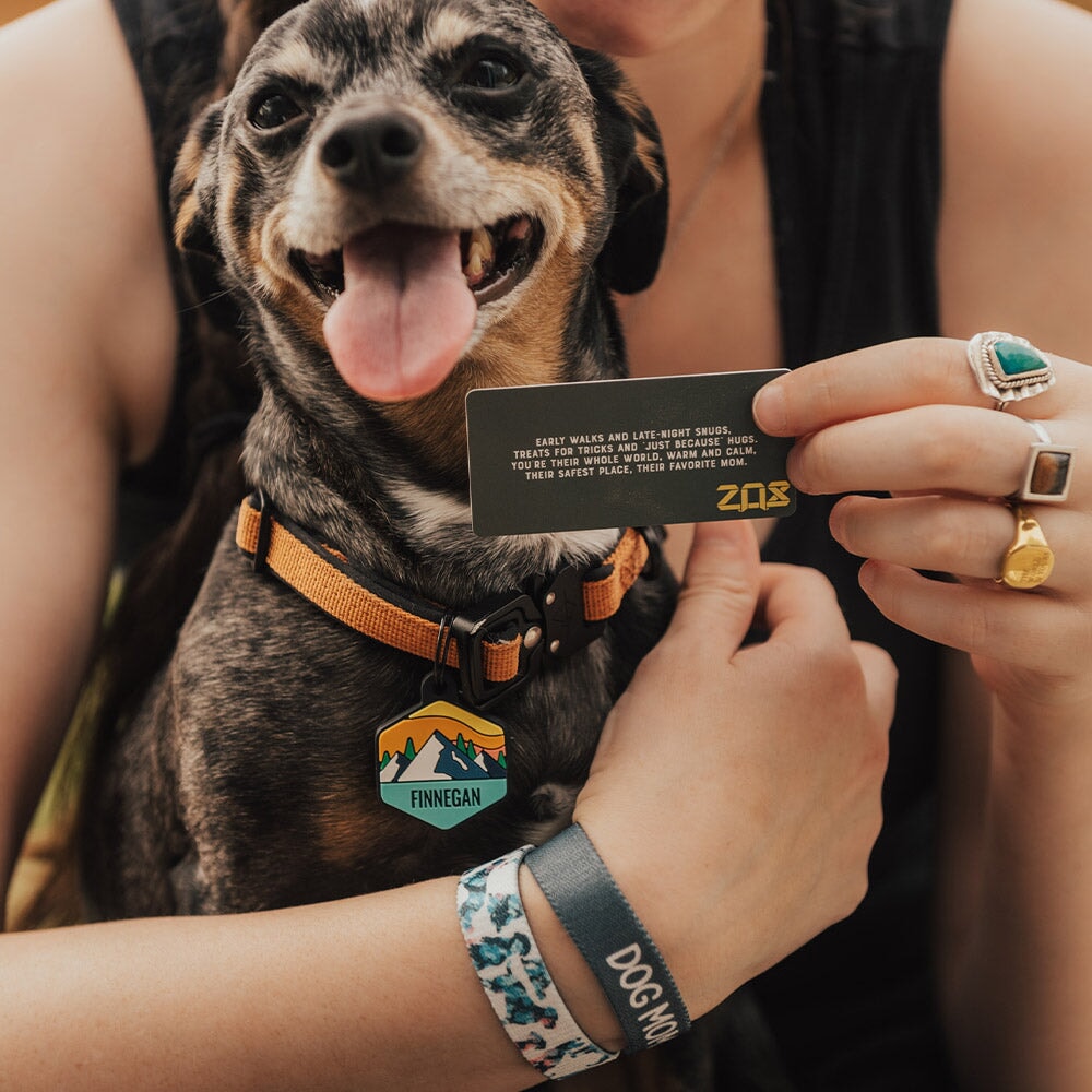 Dog Mom Bracelet