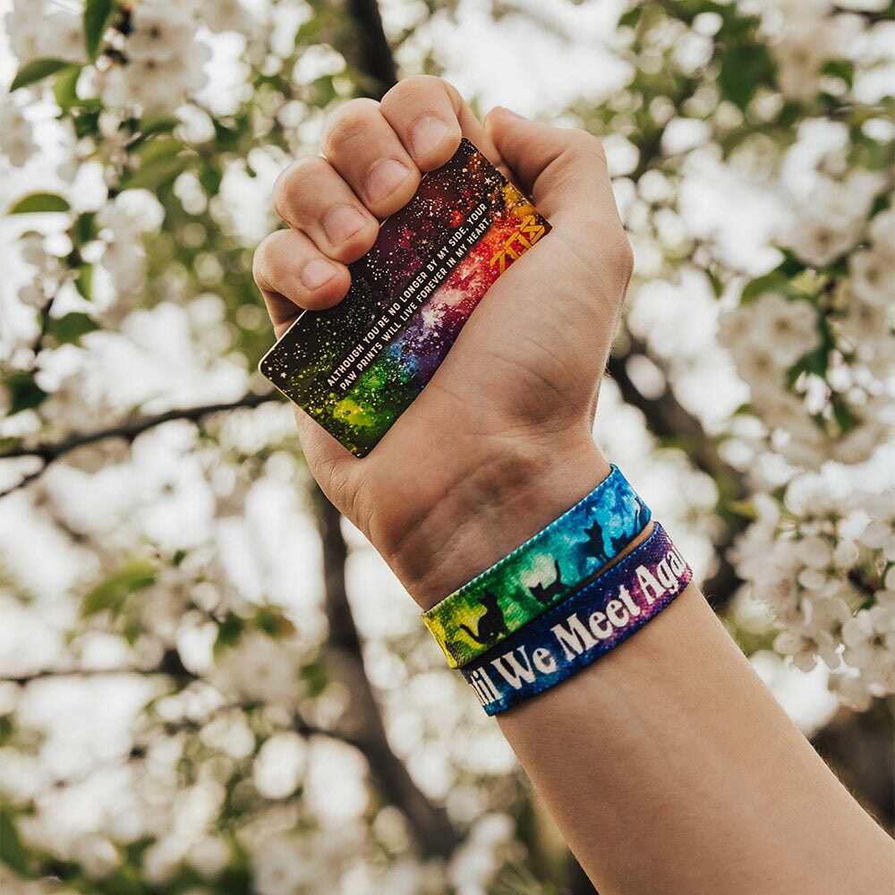 Until We Meet Again Cat Bracelet