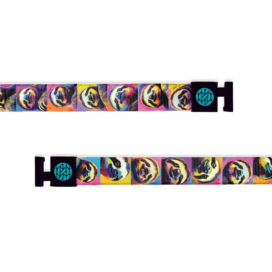 Slow & Steady String