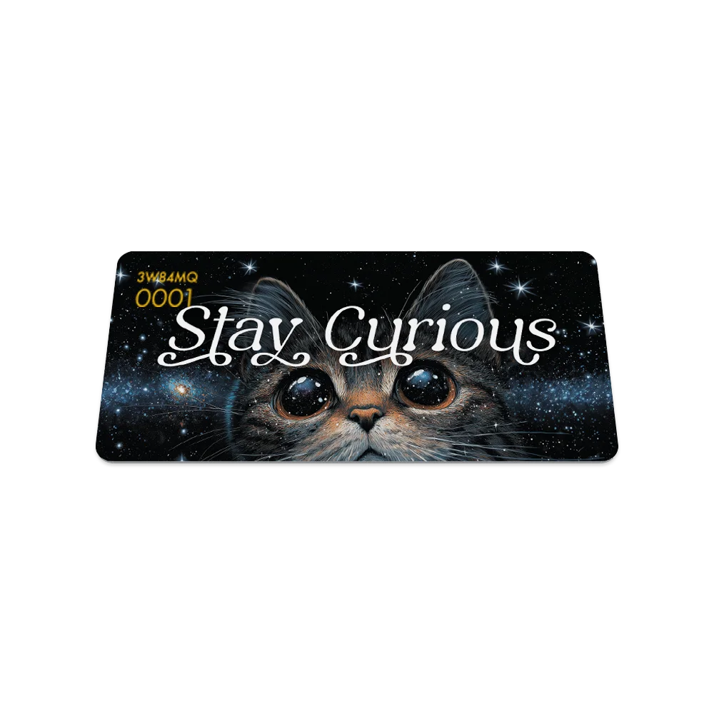 Stay Curious Cat Bracelet