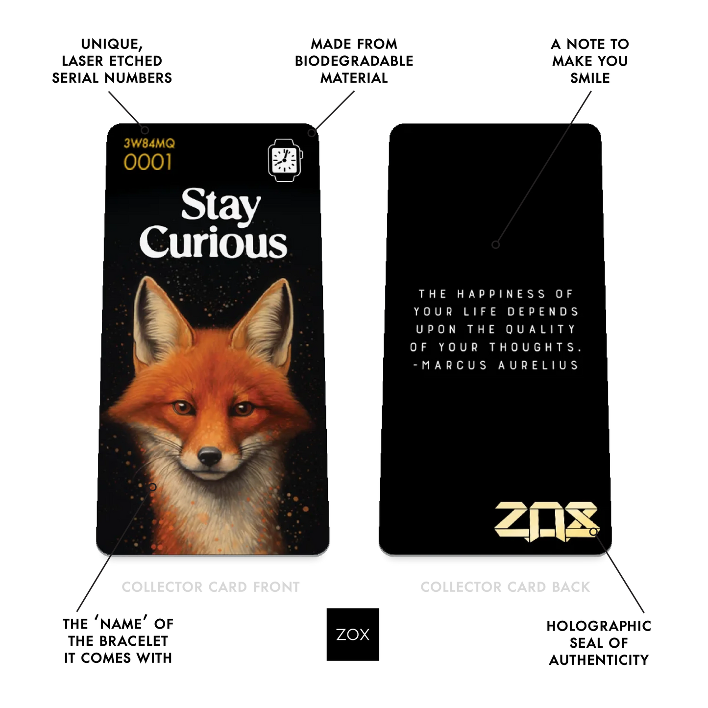 Stay Curious Watchband+
