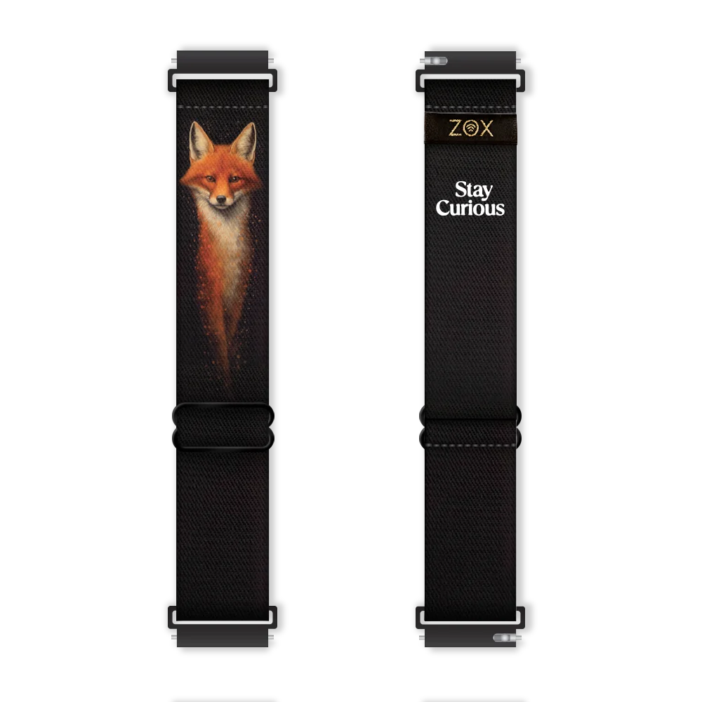 Stay Curious Watchband+