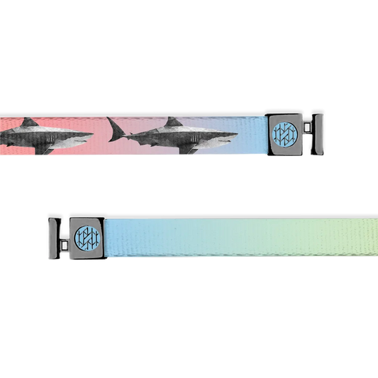 Stay Hungry Shark String