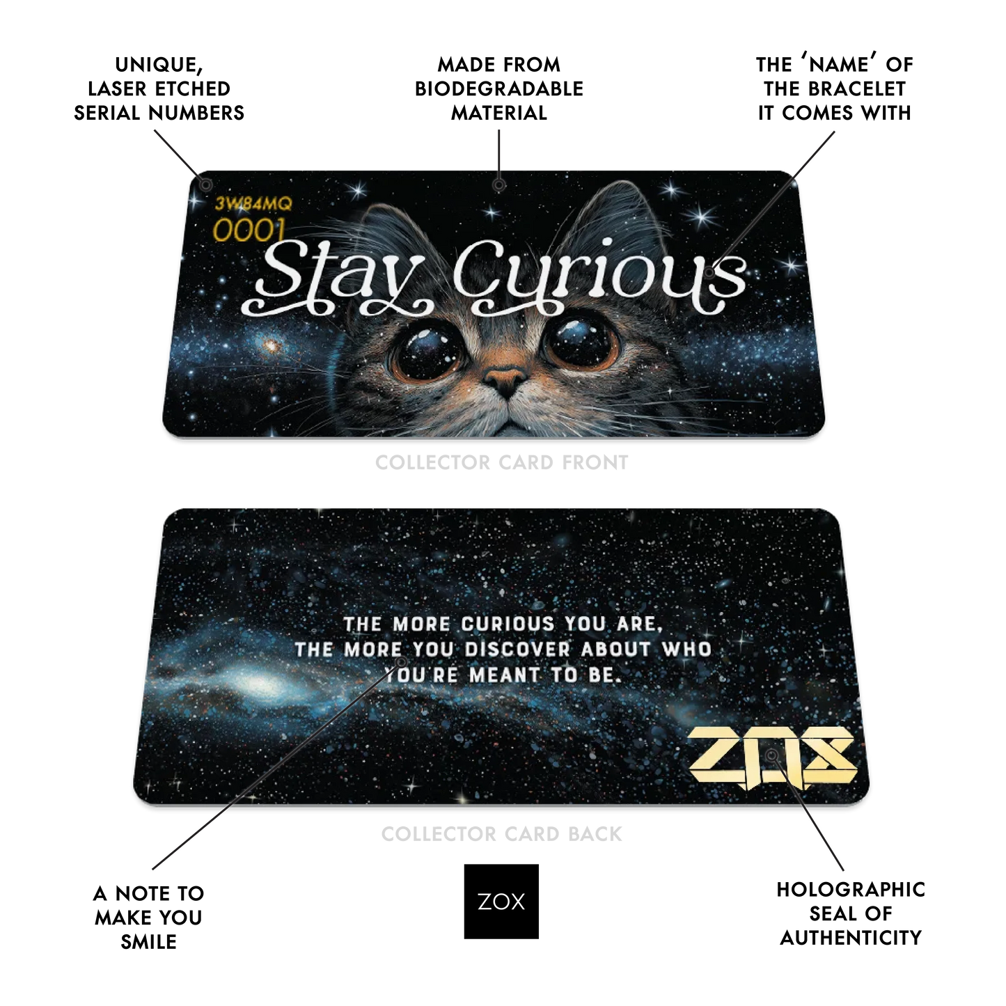 Stay Curious Cat Bracelet