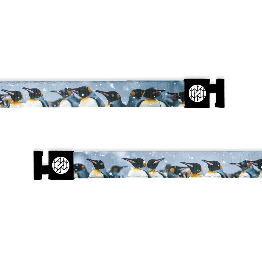 Strength In Numbers String