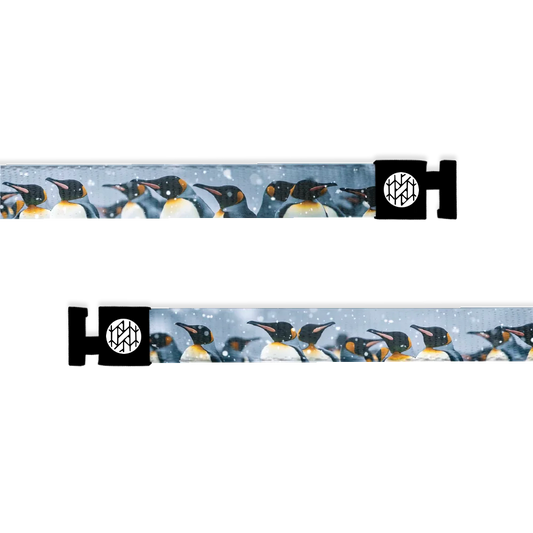 Strength In Numbers String