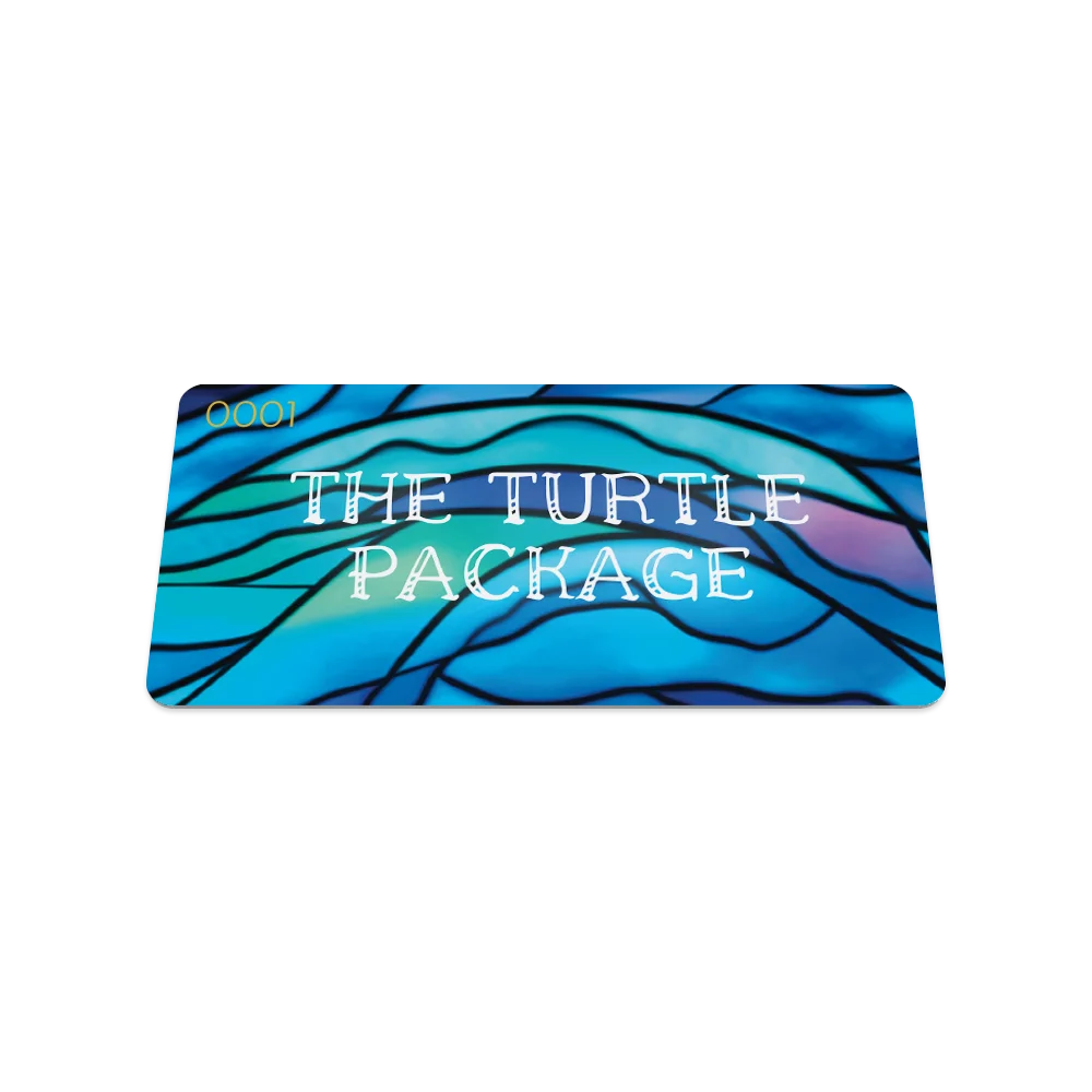 The Turtle Package Bracelet