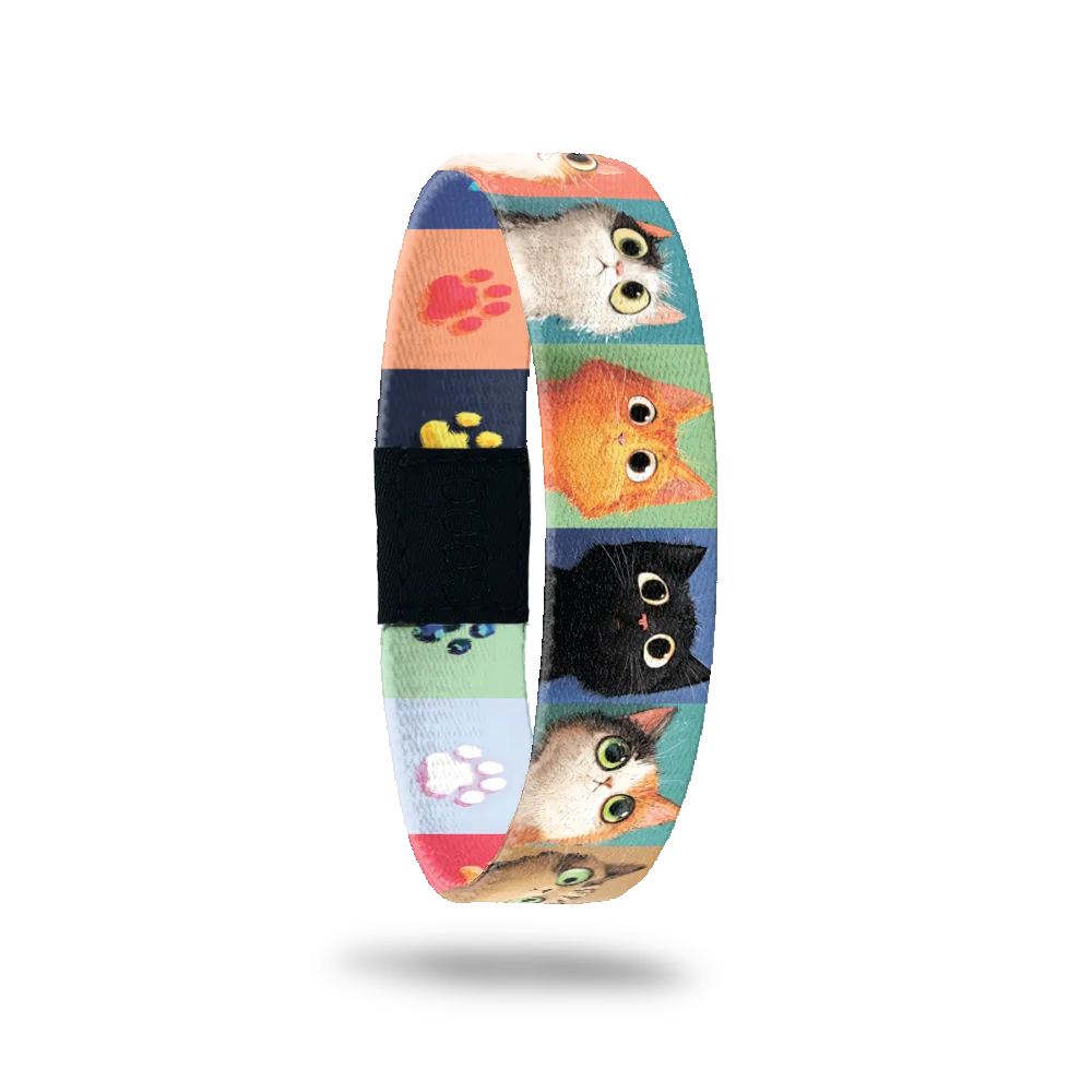 Who Me? Cat Bracelet