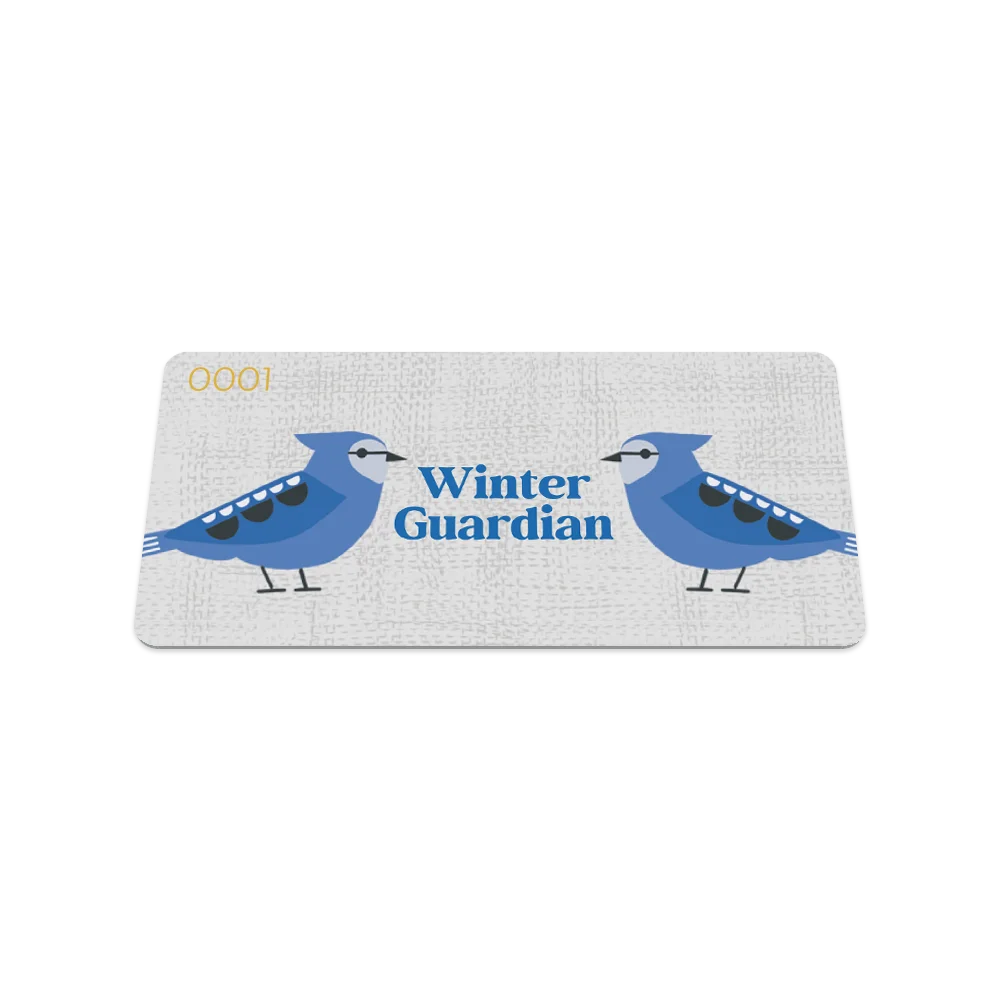 Winter Guardian Bracelet & Necklace