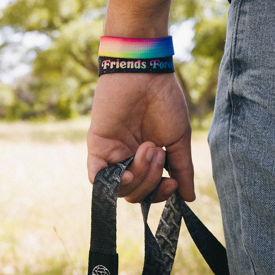 Person holding a leash with a blurred natural background