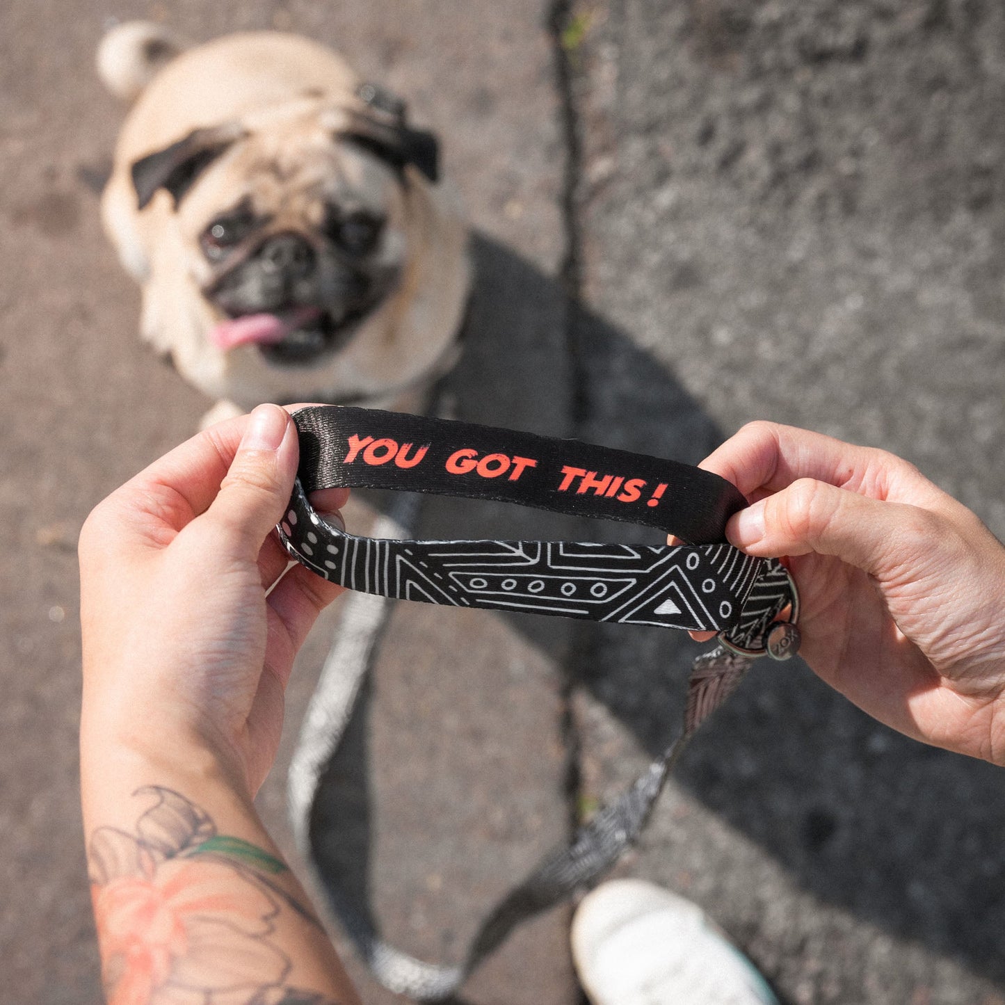 You Got This  Leash